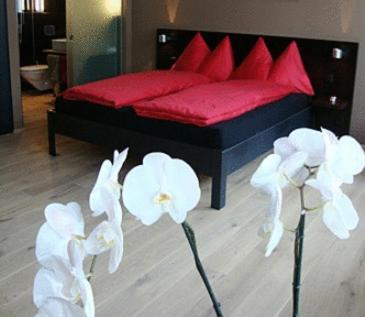 Hotel Quersinn Pfaffikon  Bilik gambar